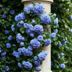 Роза плетистая Блю Перпл купить по цене от 540р. в интернет-магазине «Посадика» с доставкой почтой в в Москве и по всей России – [изображение №1].